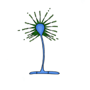Meiosis Publications