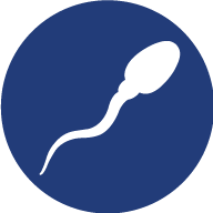 Mellowood Medical Inc.