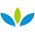 Webuser