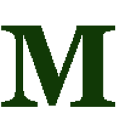 Memory Supporter