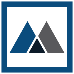 Merchants Information Solutions
