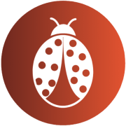MetaCrawl