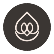 Metis Automation