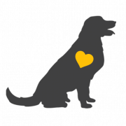 Meu Pet Amoroso