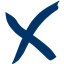 Mexon Technology