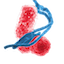 MicrobiomeDB