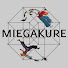 Miegakure