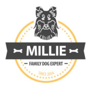 Millie Dog