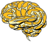 Mindboggle