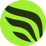 Mindfly