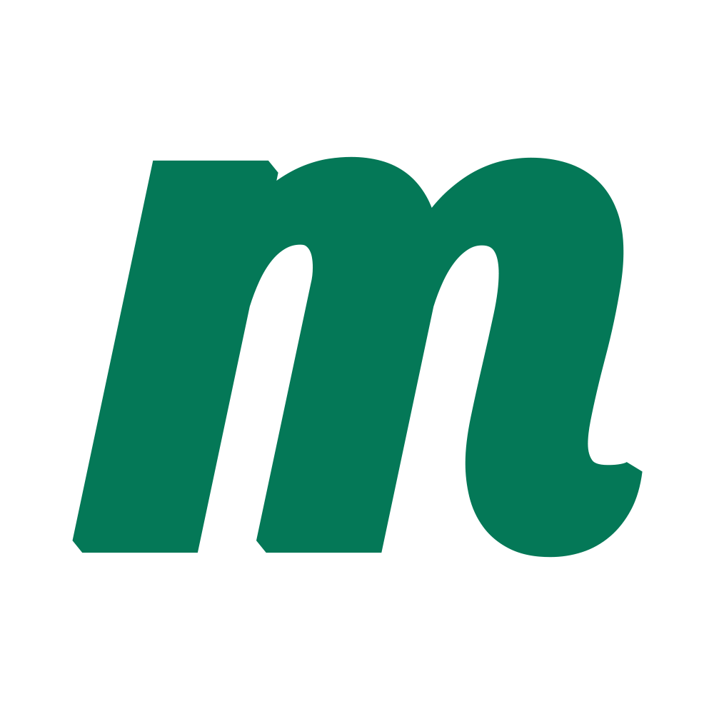 MintFlying