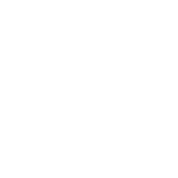 Mintology