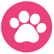 Missing Pets