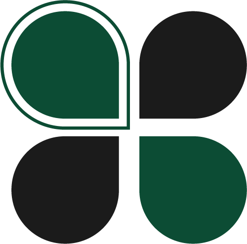 Mizanplus