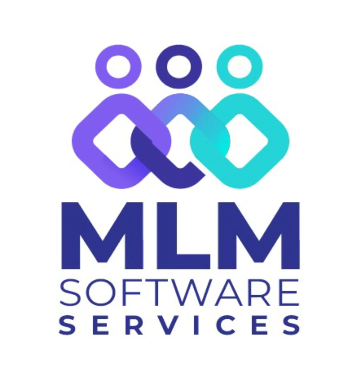 MLM Software Services