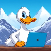 VPN Ducks