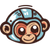 Monkedo