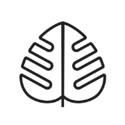 Monstera