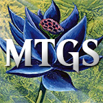 MTG Scavenger