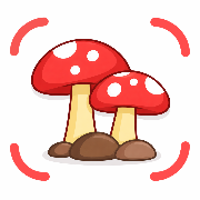 Fungio
