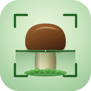 Mushroom Identifiers