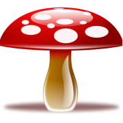 Mushroom Networks