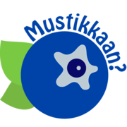 Mustikka