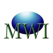 Metropolitan Wireless International