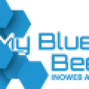 MyBlueBee