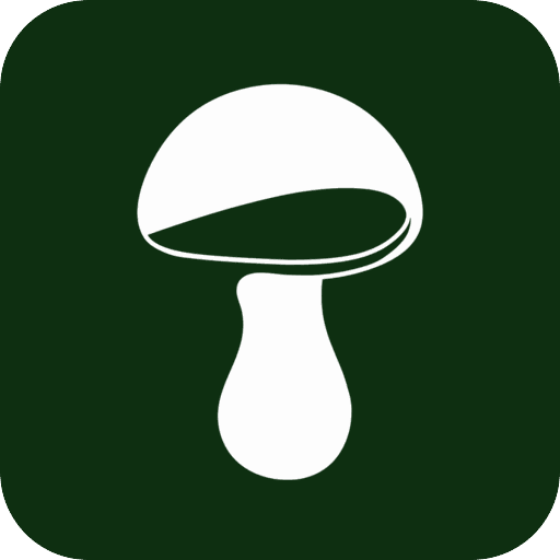 MyBoletus