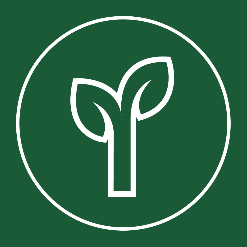 MyCoachingTree