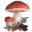 MycoDB