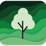 My Food Forest