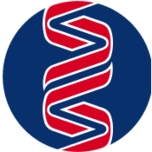 Sonic Suisse