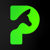 Pocket Pay