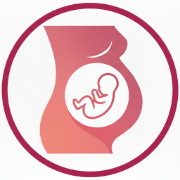 My Pregnancy Calculator