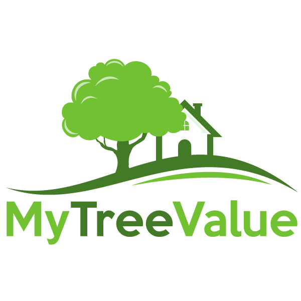 My Tree Value