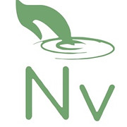 Nailvision