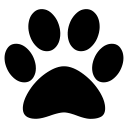 Najít Zvíře