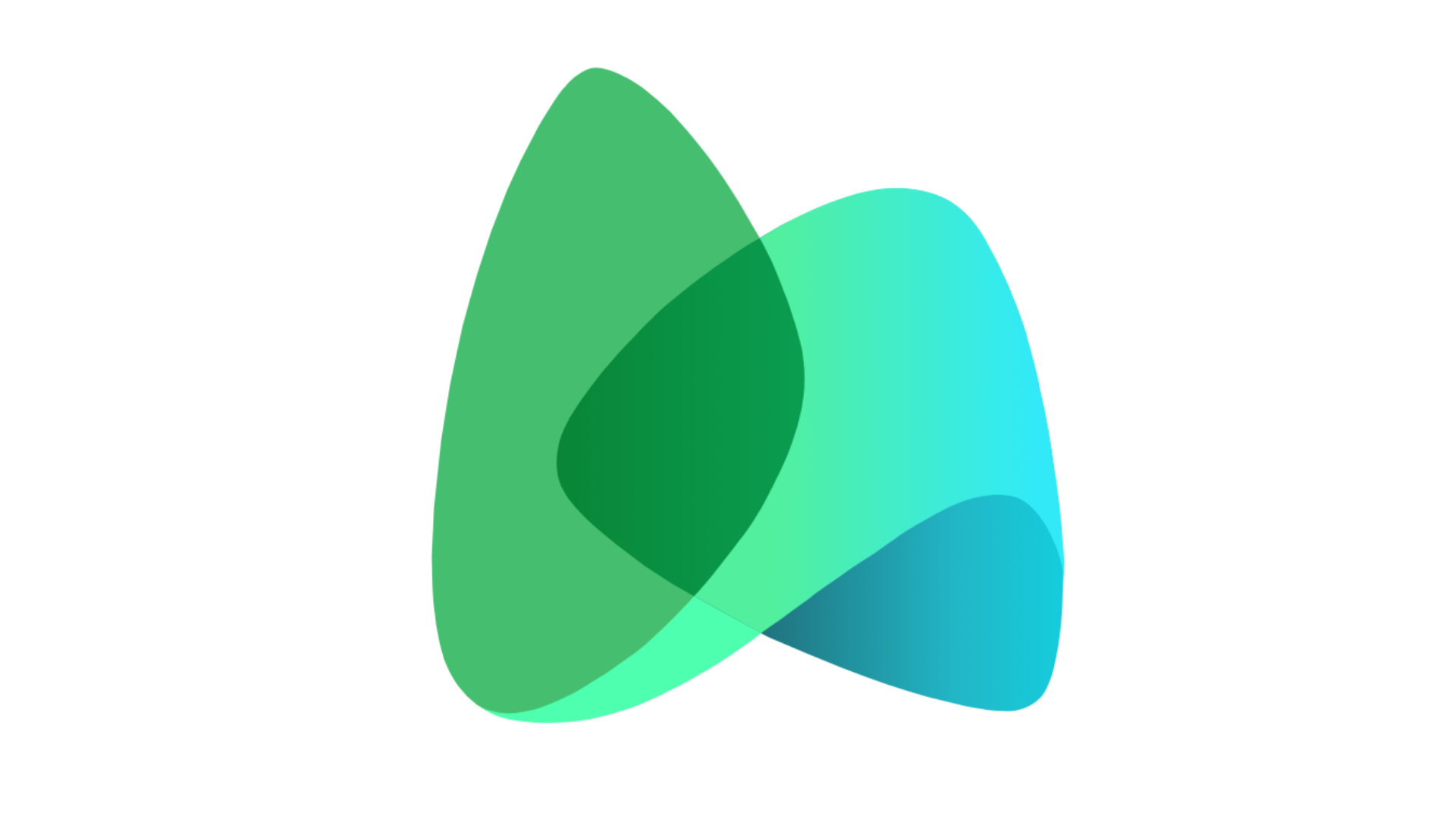 NAMs Network