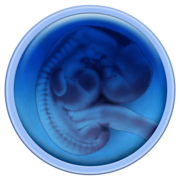 Naturdata