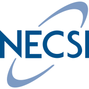 NECSI