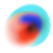Neotype