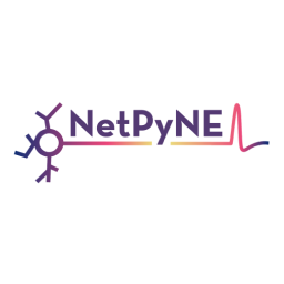 NetPyNE