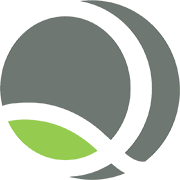 NetQIS
