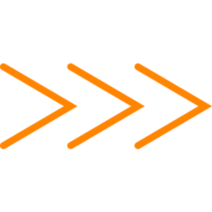 Network to Code