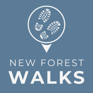 New Forest Walks