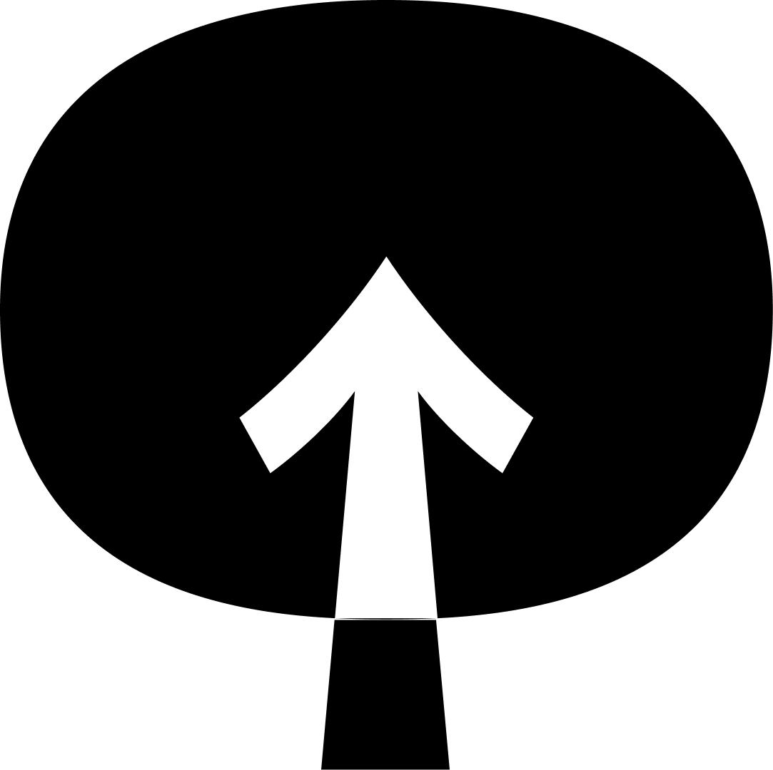 NewNet Inc.