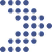 Newton Software Pvt Ltd