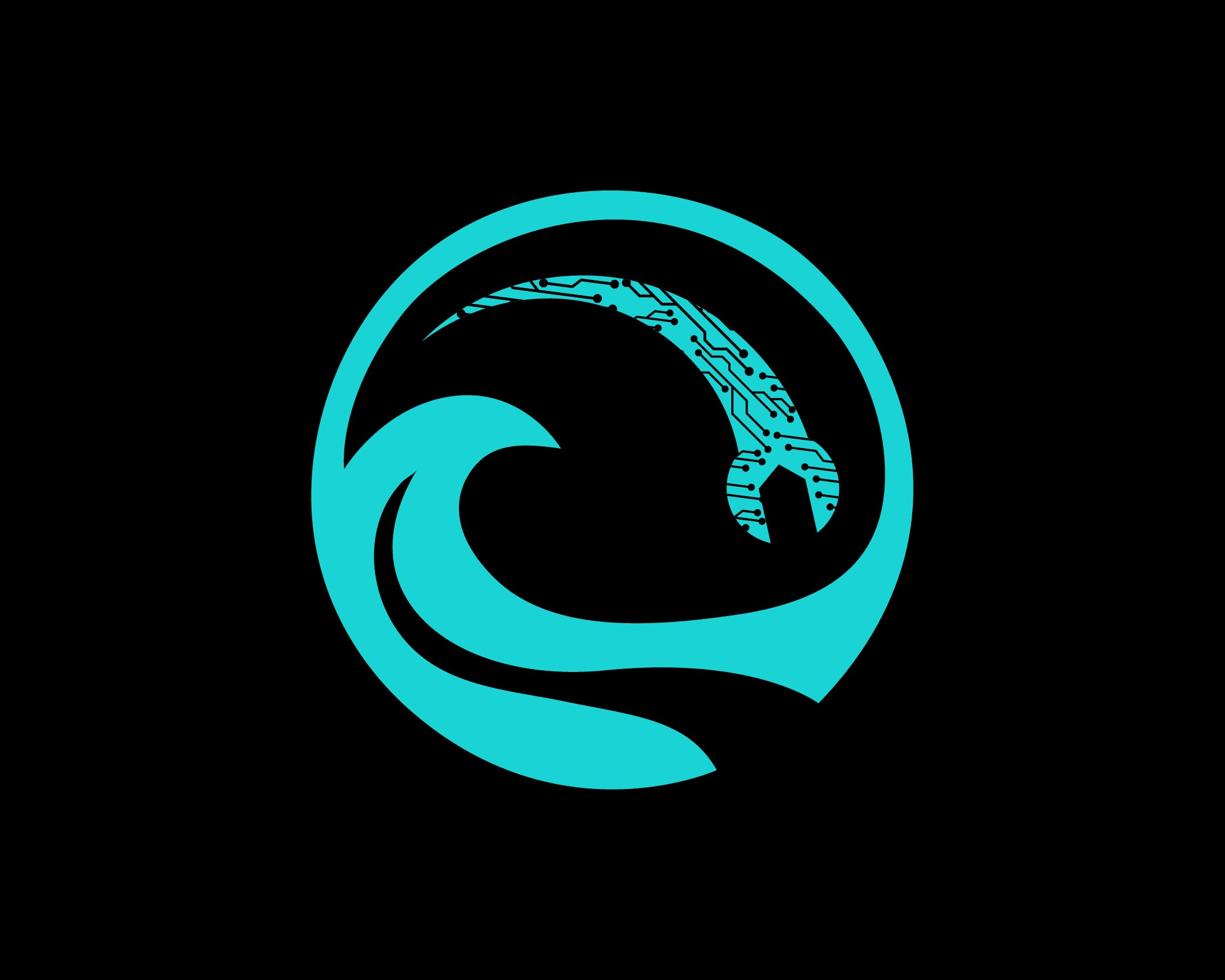 NexPool System